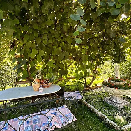 Lovely In With Wifi Lamon