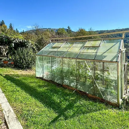 Apartament Lovely In With Wifi *